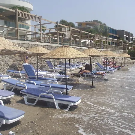 Ado 3* Тургутрейс