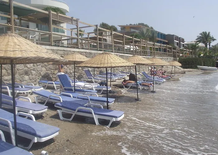 Ado 3* טורגוטריס