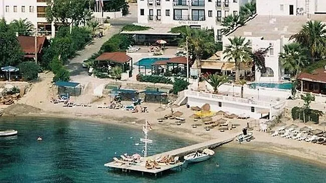 Ado טורגוטריס